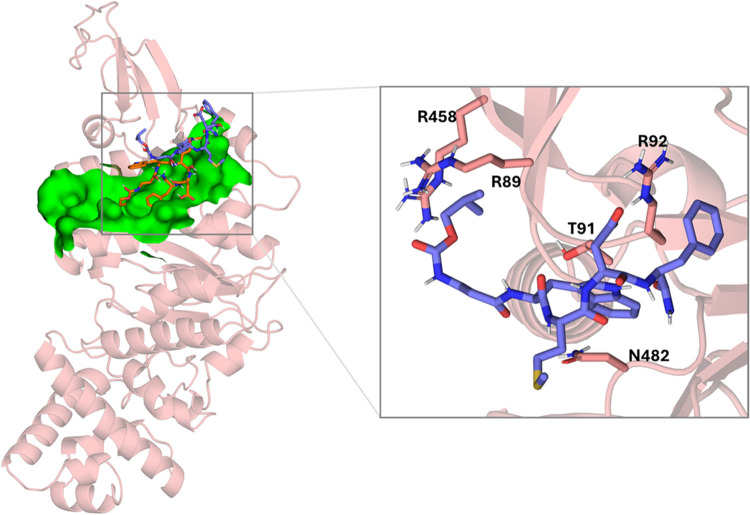 Figure 12