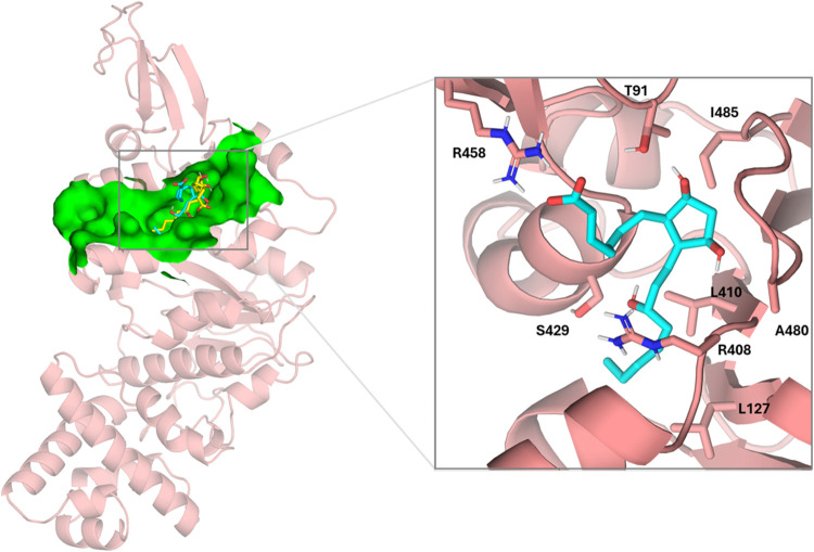 Figure 13
