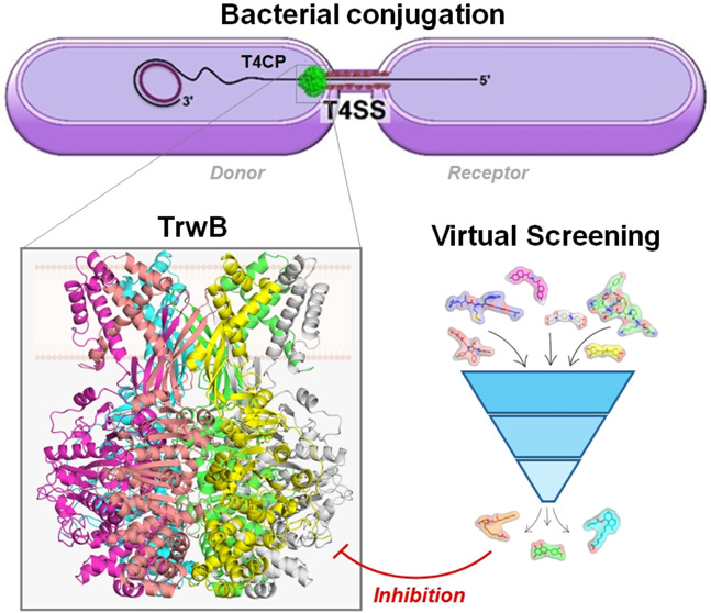 Figure 16