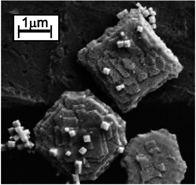 Figure 6