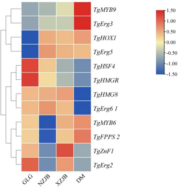 Figure 12