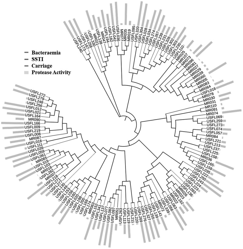 Figure 6