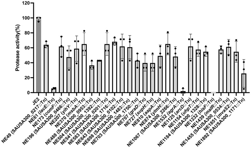 Figure 10