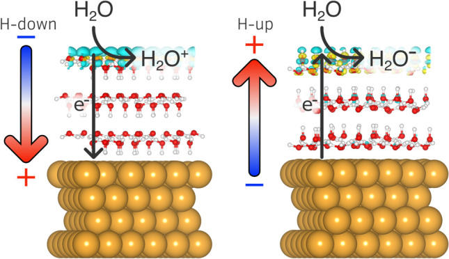 Figure 10
