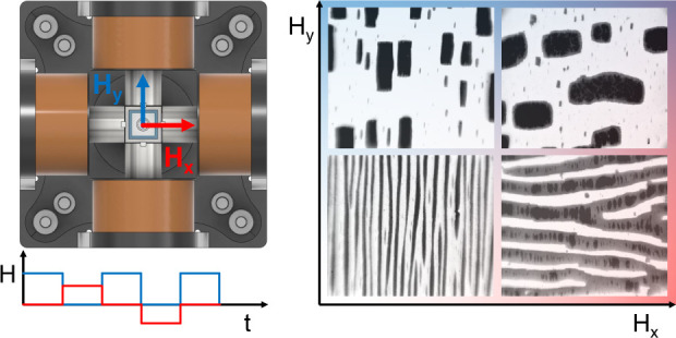 Figure 11