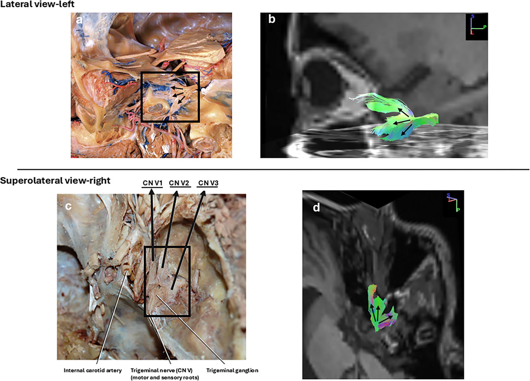 Figure 6