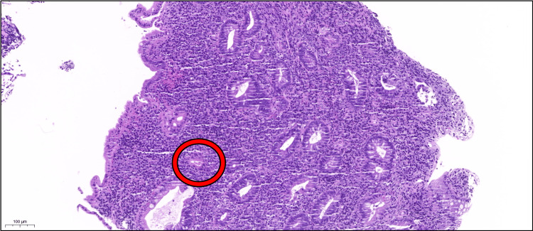 Figure 7