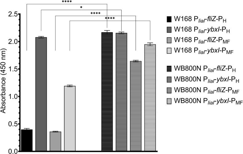 Figure 5