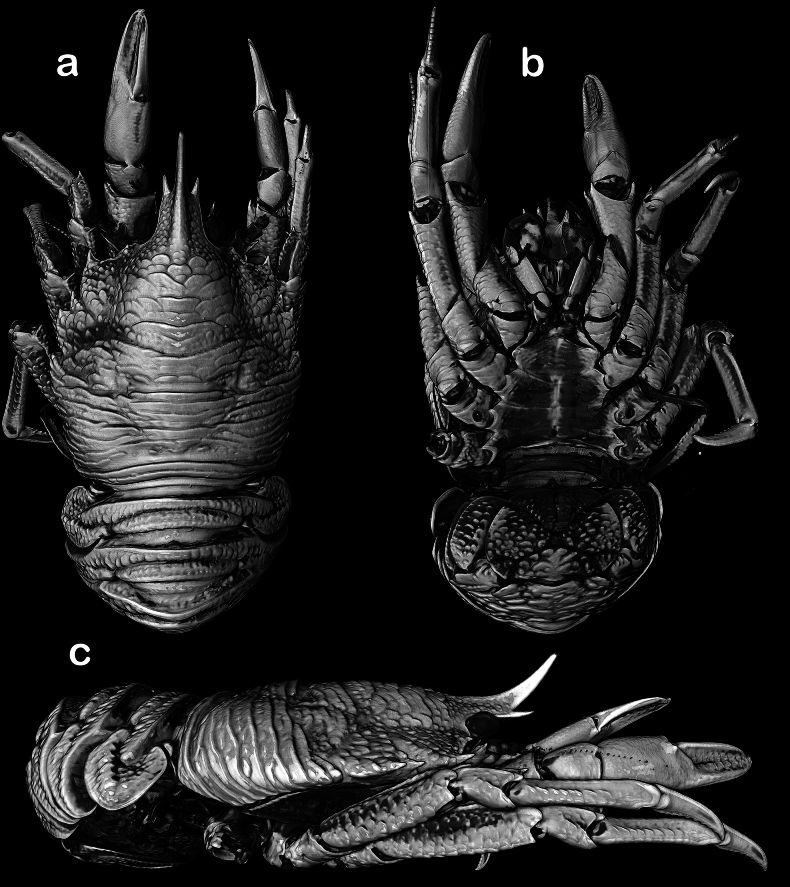 Figure 6