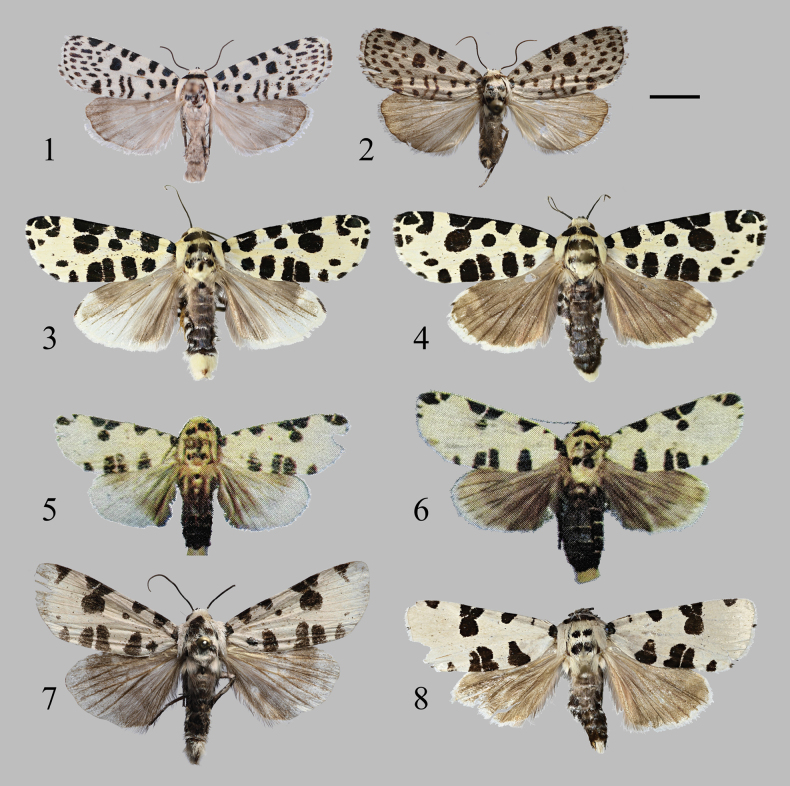 Figures 1–8