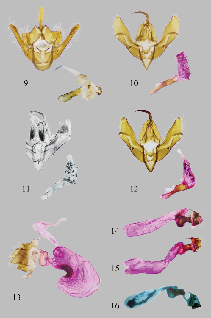 Figures 9–16