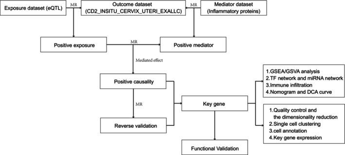 FIGURE 1