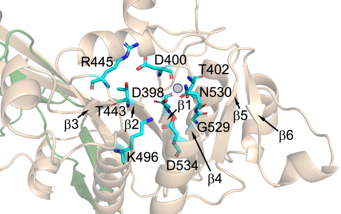 Figure 5