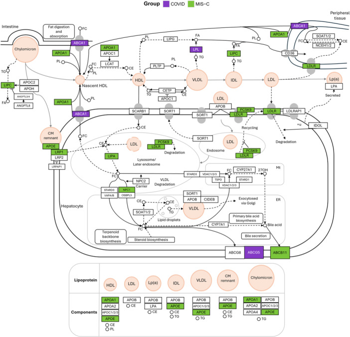 Figure 7