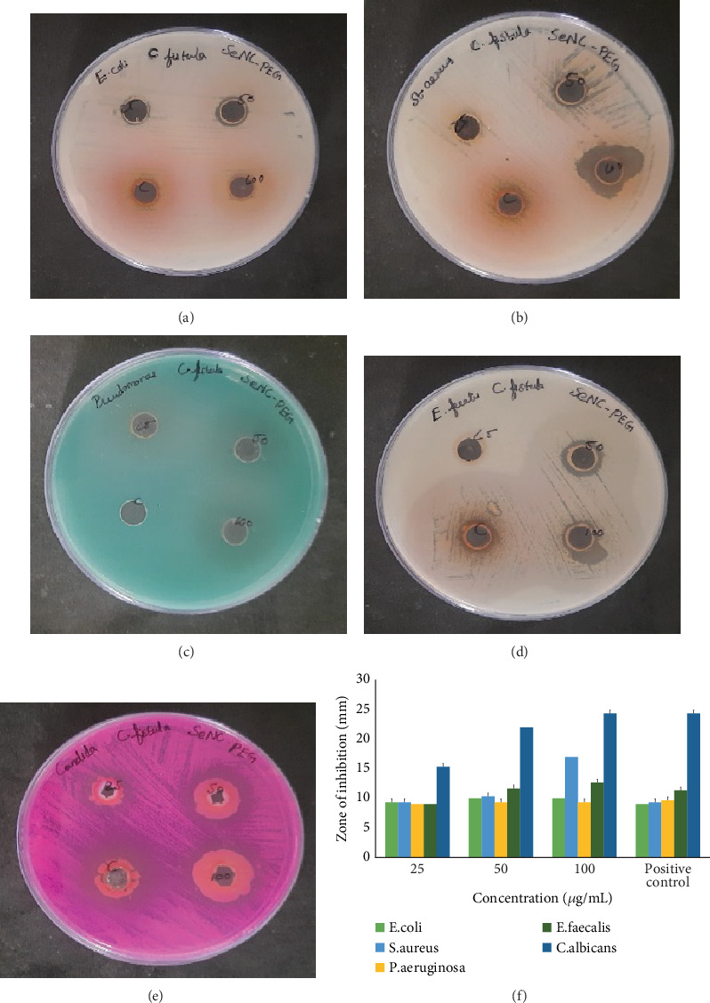 Figure 5