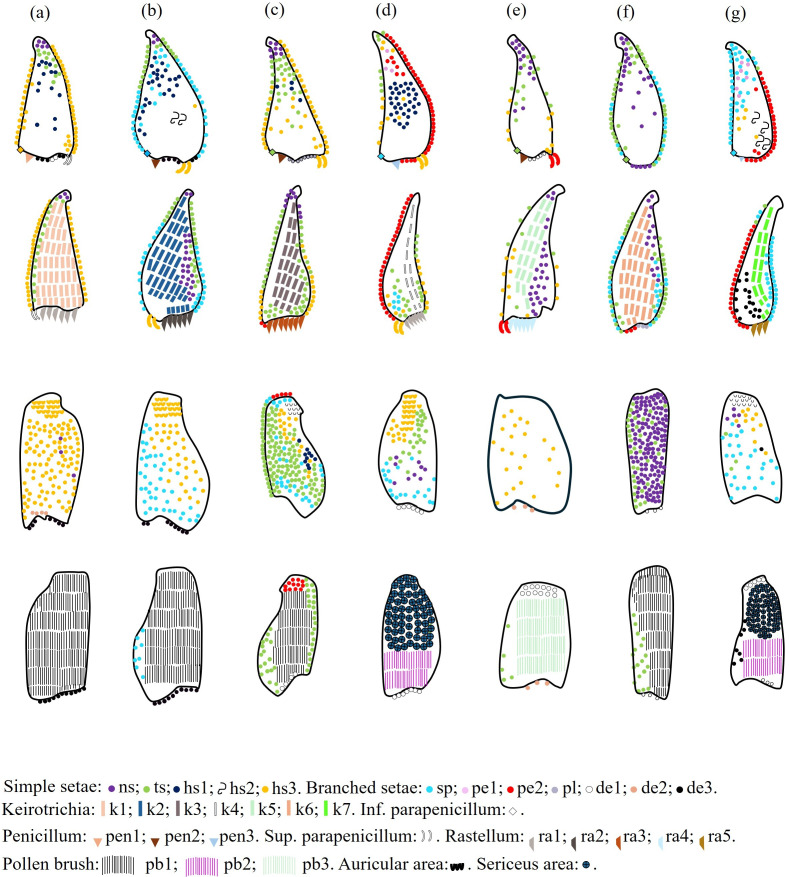 Figure 11