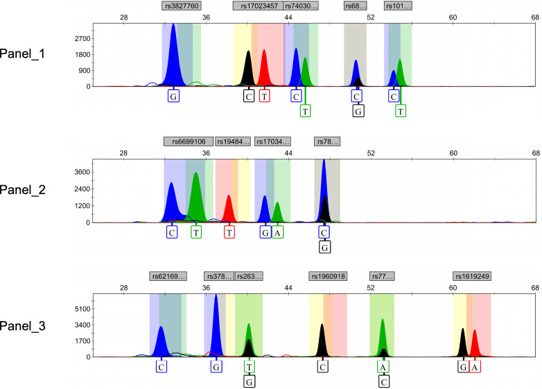 Figure 2