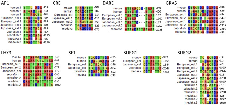 Figure 7
