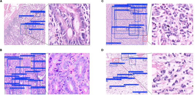 Figure 12