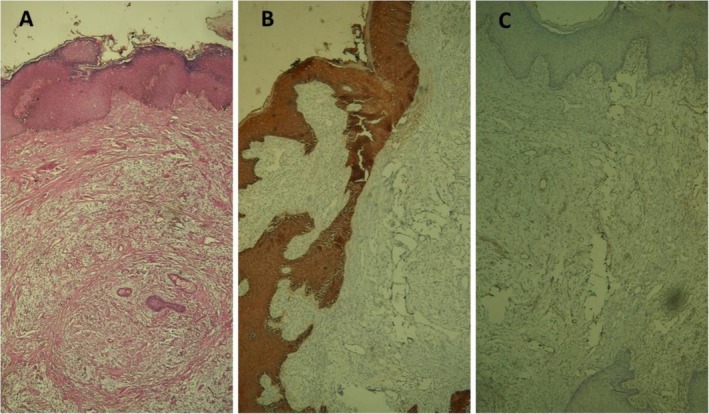 FIGURE 3