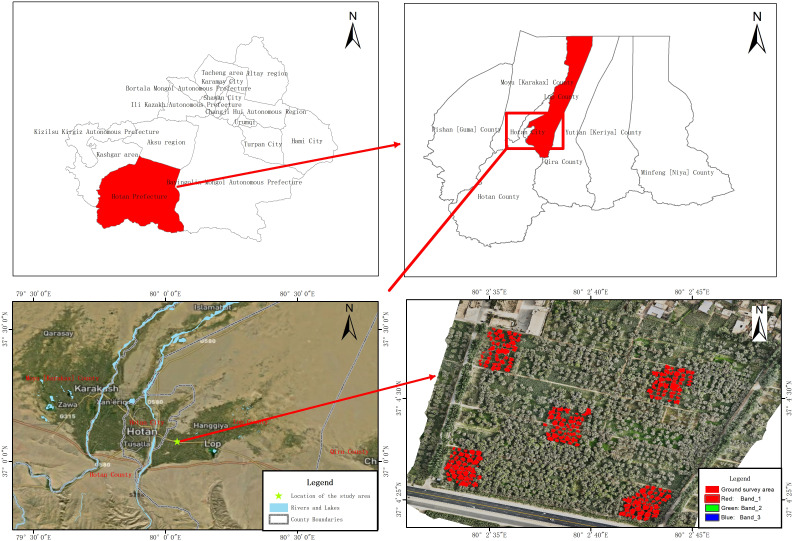 Figure 1