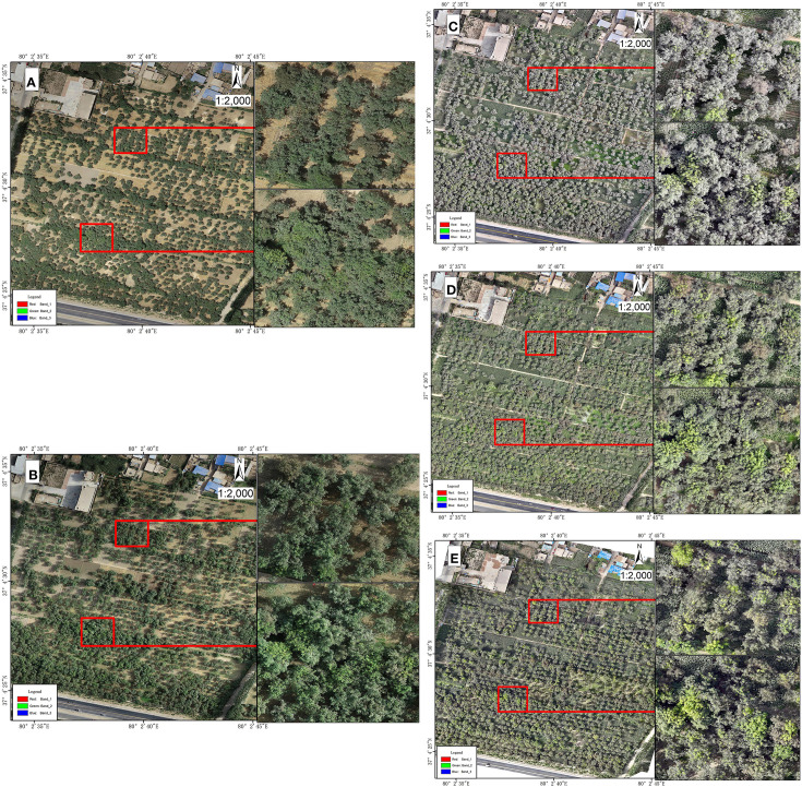 Figure 4