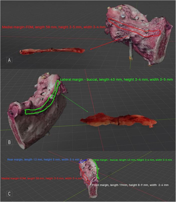 FIGURE 3