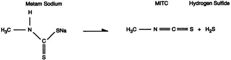 Figure 5