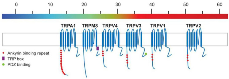 Figure 7