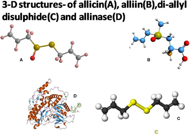 Figure 1