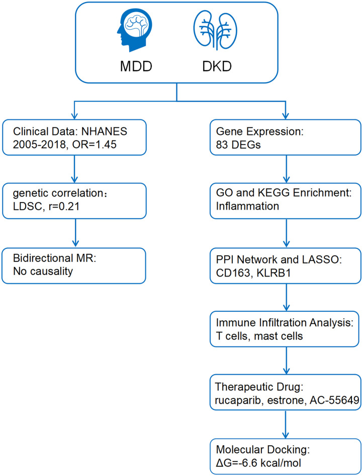 Figure 1