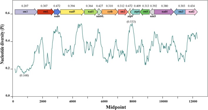 FIGURE 4