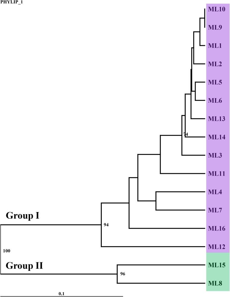 Figure 6