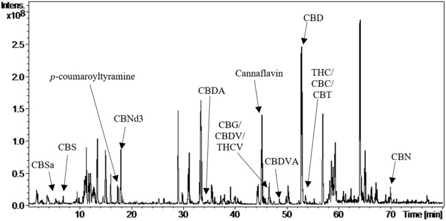 FIGURE 1