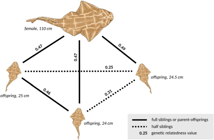 FIGURE 3
