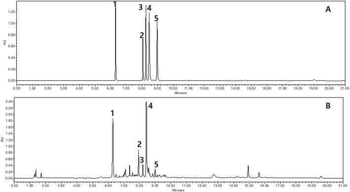 FIGURE 1