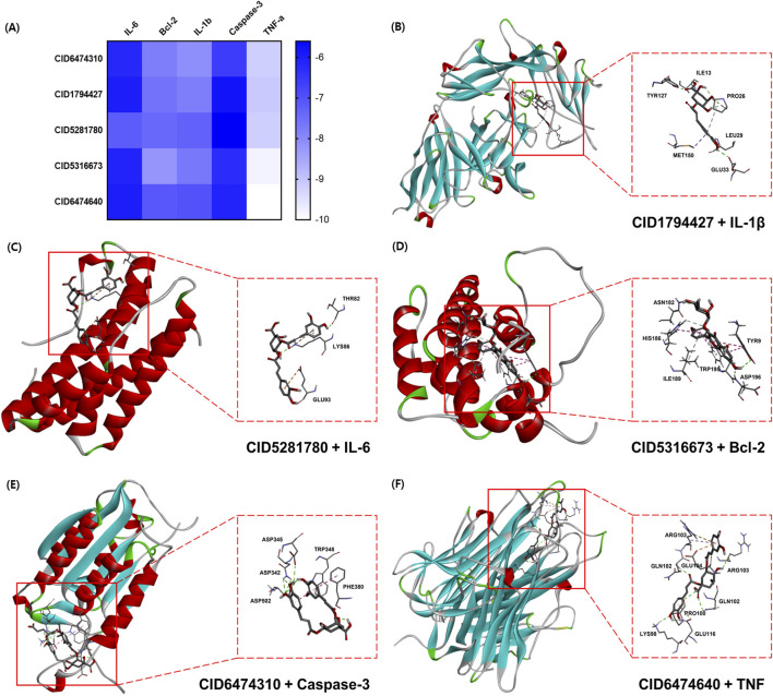 FIGURE 4