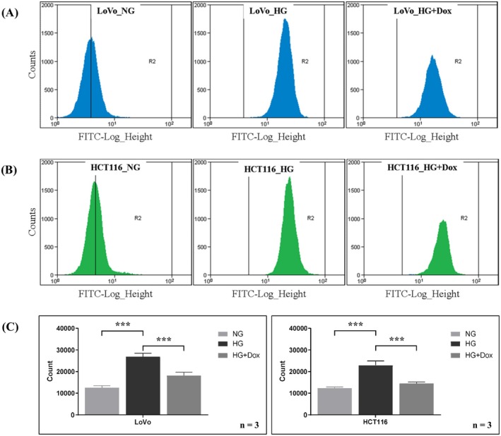 FIGURE 1