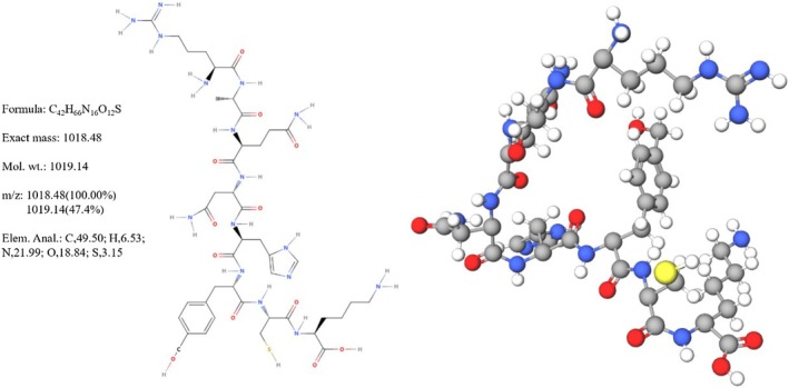 FIGURE 1