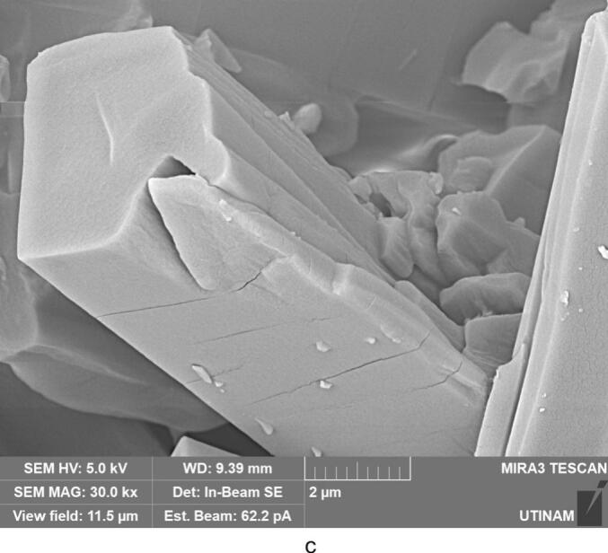 Figure 21