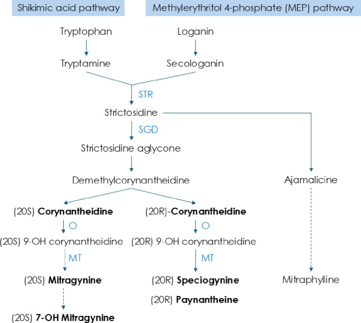 Figure 3