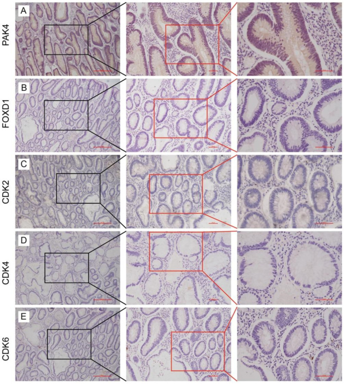 Figure 4