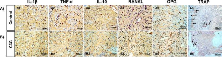FIGURE 4