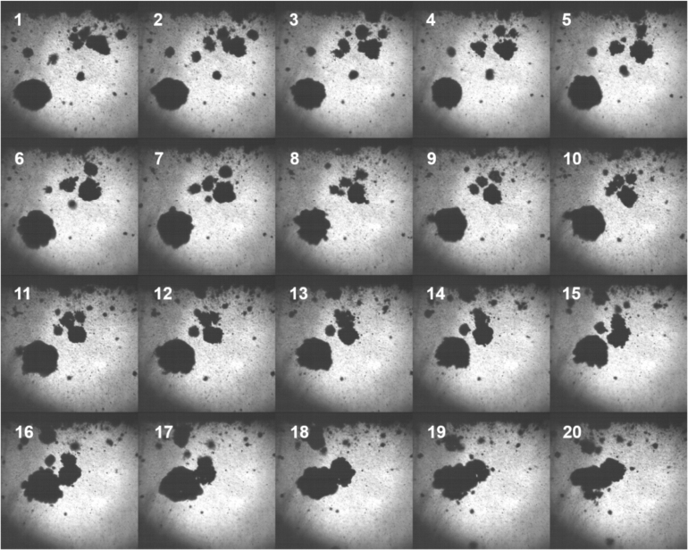Figure 11