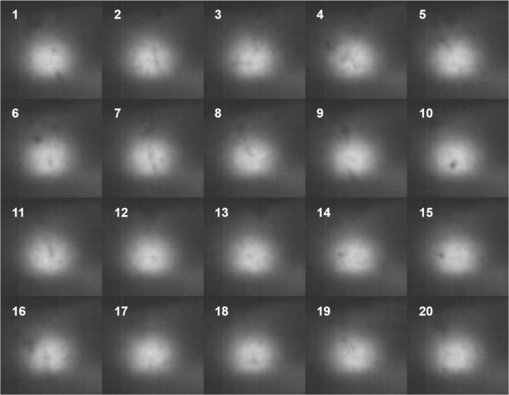Figure 14