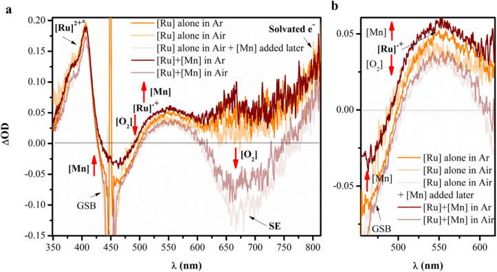 Fig. 10