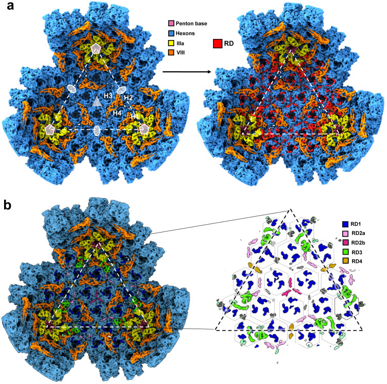 Fig 5