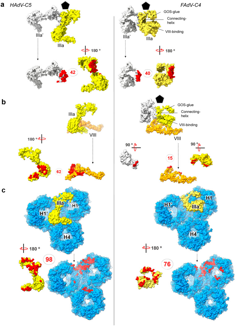 Fig 6
