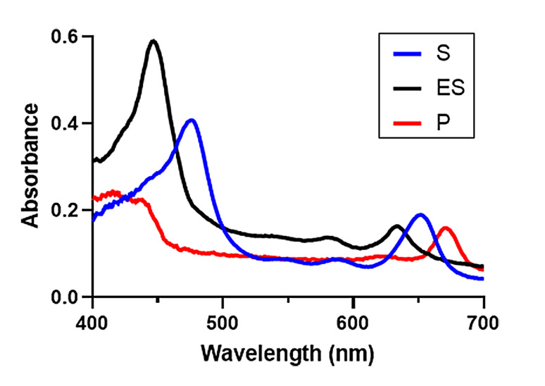 Figure 9