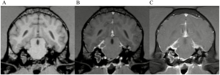 Figure 9